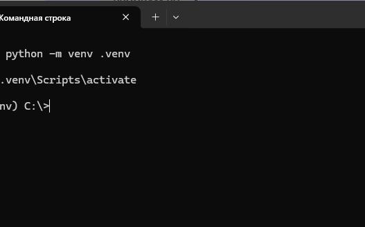python_venv_activate_show